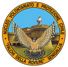 Falchi della Rovere